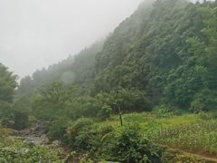 -白云源风景区