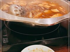 -浩爷羊蝎子火锅(望京店)