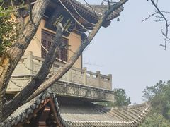 -铁山坪森林公园