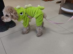 -宠福鑫动物医院(城北分院)