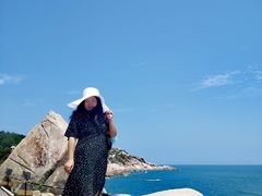 -广东惠东海龟国家级自然保护区