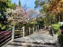 -白马涧龙池景区