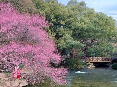 -中国茶叶博物馆(双峰馆区)