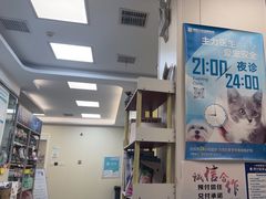 -美联众合爱康动物医院•复杂内科•肿瘤科•牙科•腔镜诊疗中心