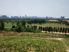 -汉长安城未央宫国家考古遗址公园