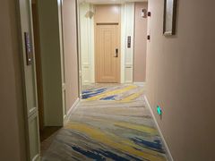 -维也纳酒店(苏州东方之门金鸡湖店)