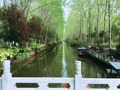 -合肥滨湖国家森林公园