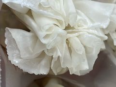 -真食净香居·内蒙烧麦(亚运村店)