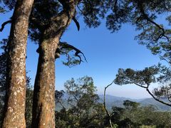 -海南热带雨林国家公园吊罗山景区