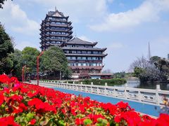 -眉山湿地公园(东坡区)