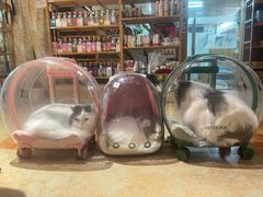 -转角宠物(转塘方家苑店)