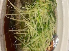-朝陽市場