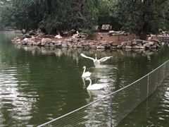 -动物园(地铁站)