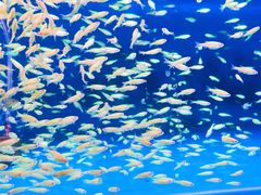 -华声天桥民俗文化园