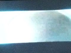 -红星电影世界上海张江绿地店