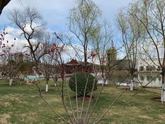 -西海子公园