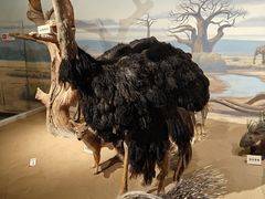 -陕西自然博物馆