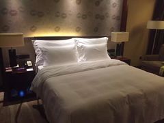 -深圳福青龙华天假日酒店