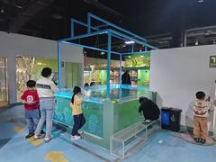 -上海大自然野生昆虫馆(东方明珠·爬宠昆虫探索中心)