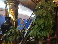-满福隆酒楼(万绿园店)