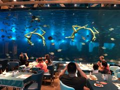 -瑞德姆美人鱼海底演艺主题餐厅(亚龙湾店)