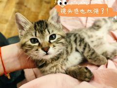 -么么咖啡(燕郊店)