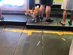 -八一路好吃街(雨田商务大厦店)