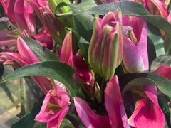 -山东嘉汇文化用品有限公司张店凤凰国际分公司(新村西路店)