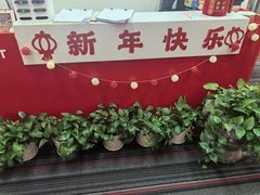 -阿妮亚少儿美术书法(望京店)