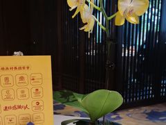 -顺德渔村(华侨城店)