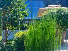 -养云安缦吧THE BAR