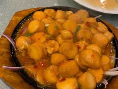 铁板日本豆腐-东北农家小院(定西路店)