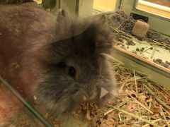 -龙猫仔乐园(惠福东路店)