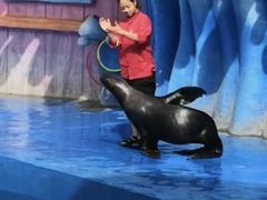 -华夏文旅海洋公园