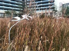 -北戴河圣蓝海洋公园