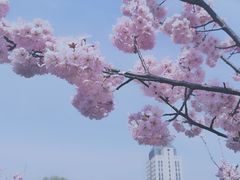 -江南大学(蠡湖校区)