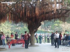 -屯门公园