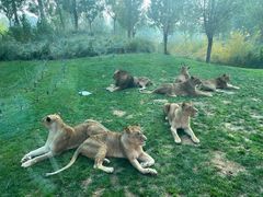 -北京野生动物园