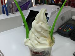 -Salud撒露欧洲冻酸奶(蓝色港湾店)
