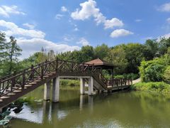 -同里国家湿地公园