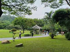 -火炉山森林公园