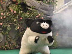 -龙江大舞台旗舰店