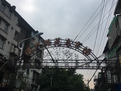 -溪岸路花鸟市场