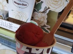 -哈根达斯(芳圆里店)