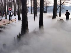 -东湖落雁景区