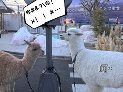 -Blue Concept Cafe&Farm·關於藍