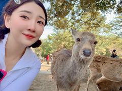 -奈良公园