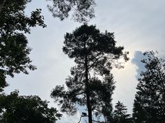 -黔灵山公园
