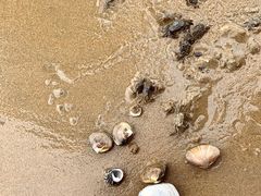 -银滩滨海旅游度假区