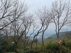 -杭州黄龙洞